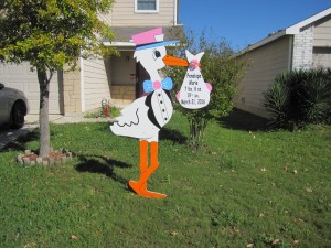 Stork Lawn Sign<br/> Urbana, MD<br/> Flying Storks<br/> (301) 606-3091