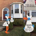 Silver Spring, MD Stork Sign Rental Birth Announcement Yard Card Flying Storks in Maryland