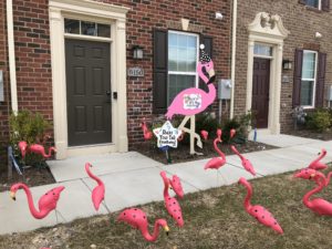 flamingo Flock Yard Signs