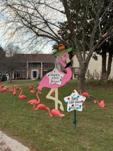 Gaithersburg, MD Flock of Flamingos-Flying Storks-(301)606-3091